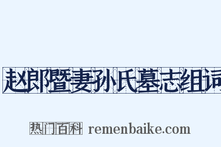 赵郎暨妻孙氏墓志组词是什么意思的图片